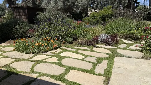 רחבת ישיבה מאבן טבעית מוקפת בגבול צמחייה פורחת