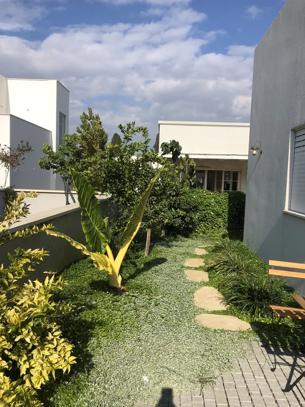 סטרליציה צהובה פורחת לצד שביל אבן טבעית ומדשאה בגינה פרטית