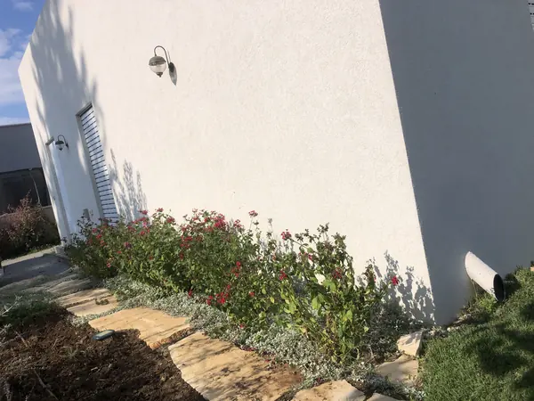 ערוגה פורחת בגוונים אדומים וירוקים לאורך קיר הבית הלבן